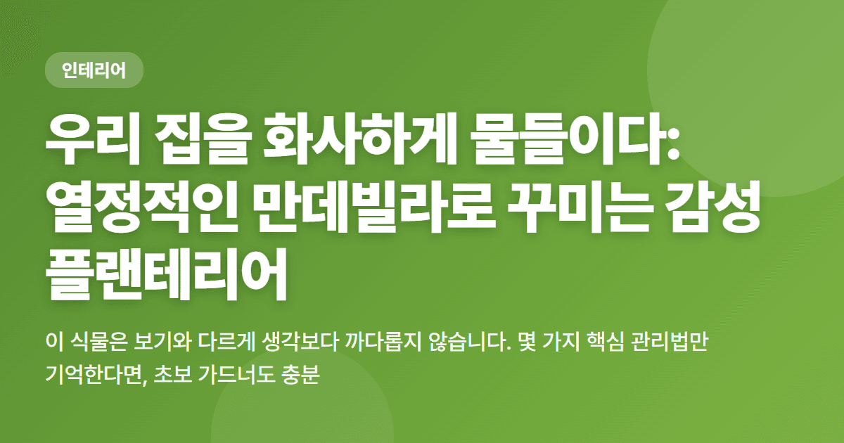 우리 집을 화사하게 물들이다: 열정적인 만데빌라로 꾸미는 감성 플랜테리어