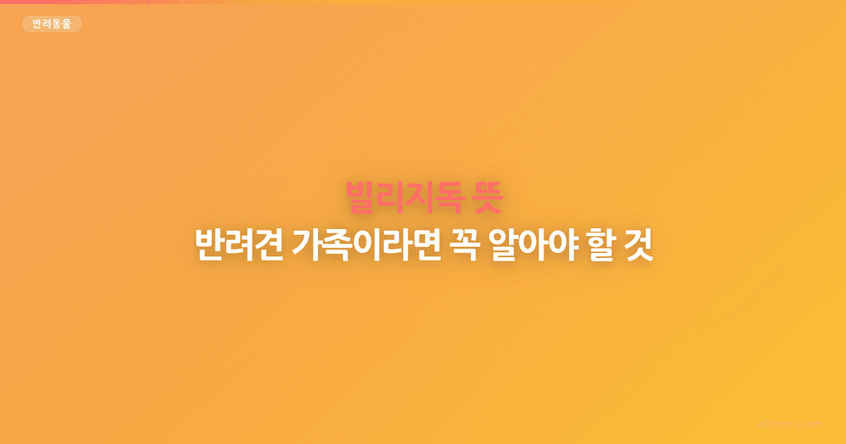 빌리지독 뜻: 반려견 가족이라면 꼭 알아야 할 것