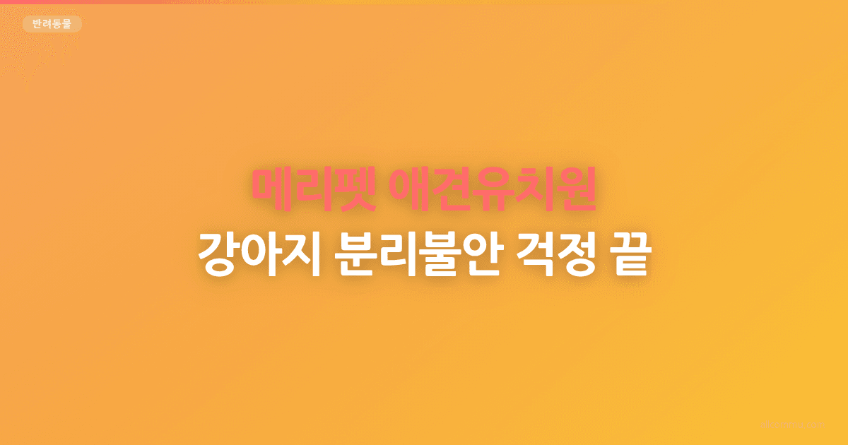 메리펫 애견유치원, 강아지 분리불안 걱정 끝!